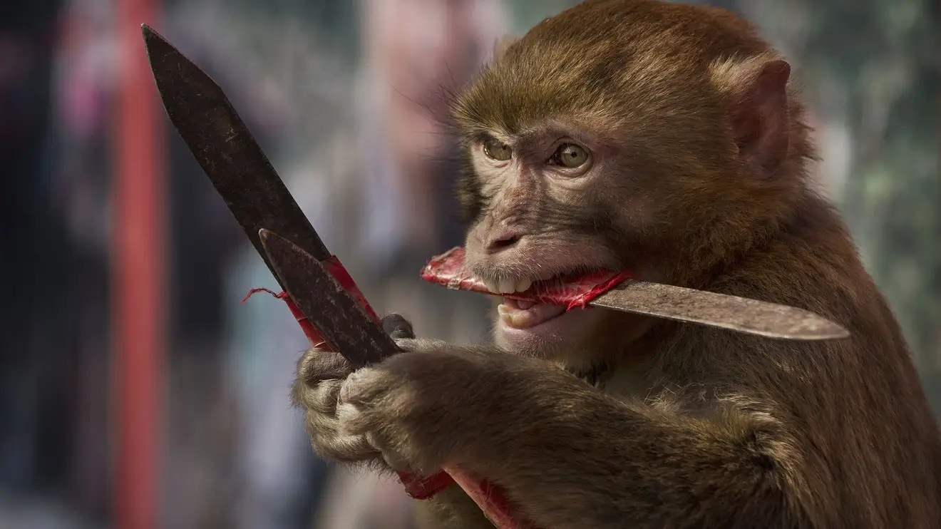 monkey-with-knives Monkey-with-kives-be-afraid